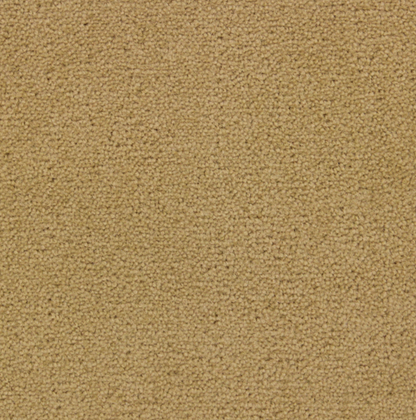 RRC Carpet Floor Mat Set (Various Colors)